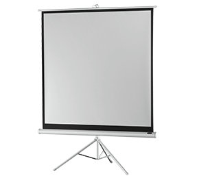 celexon Economy projectiescherm op statief 184 x 184 cm