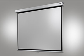 celexon projectiescherm rollo Professional Plus 220 x 165
