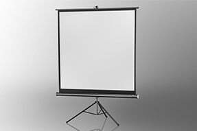 celexon Economy projectiescherm met statief 184 x 184 cm