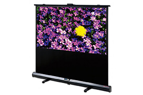 DELUXX Advance Portable Self Stand-x 186 x 105 cm mat wit Polaro