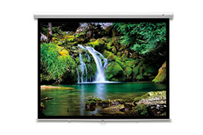 DELUXX Advanced slow motion handbediend projectiescherm 266 x 149 cm matwit Polaro
